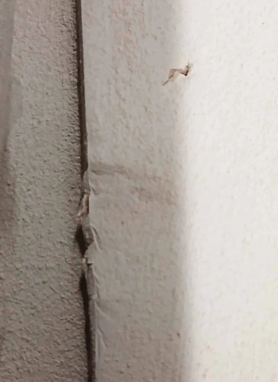 Bild Relief Beige 53 *72 – Ansicht 2